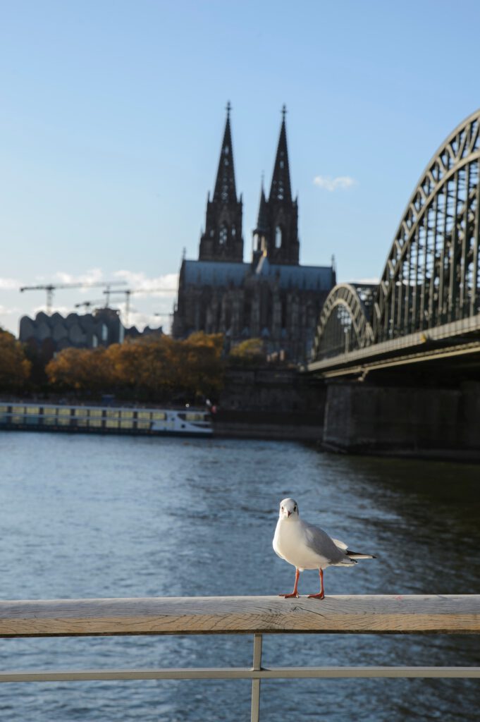Haushaltsauflösung Jungk - Entrümpelung Köln
